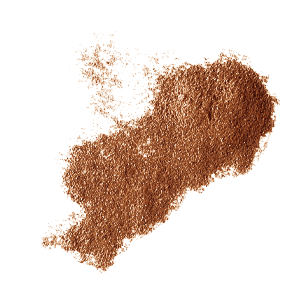 Seasoning Salt