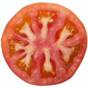 Tomato Slice