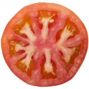Tomato Slice